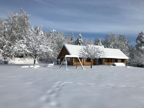 Les Bleuets en hiver